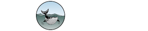 Hypack logo reverse