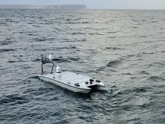 Mantas T12