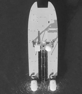 Devil Ray T24