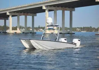 Devil Ray T24