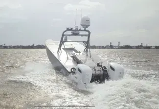 Devil Ray T24