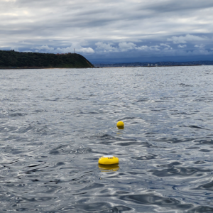  OBS-BUOY 400