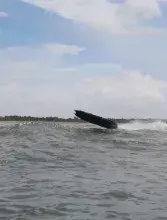 Mantas T8